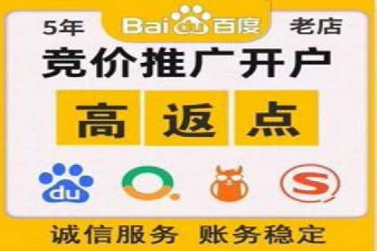 专业SEM托管助力企业快速成长案例分析